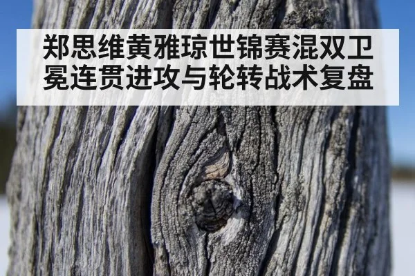 郑思维黄雅琼世锦赛混双卫冕连贯进攻与轮转战术复盘